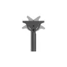 Neomounts FLAT SCREEN CEILING MOUNT (HEIGHT: 250-300 CM) BLACK