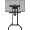 Neomounts Videobar & multimedia holder AFL-875BL1