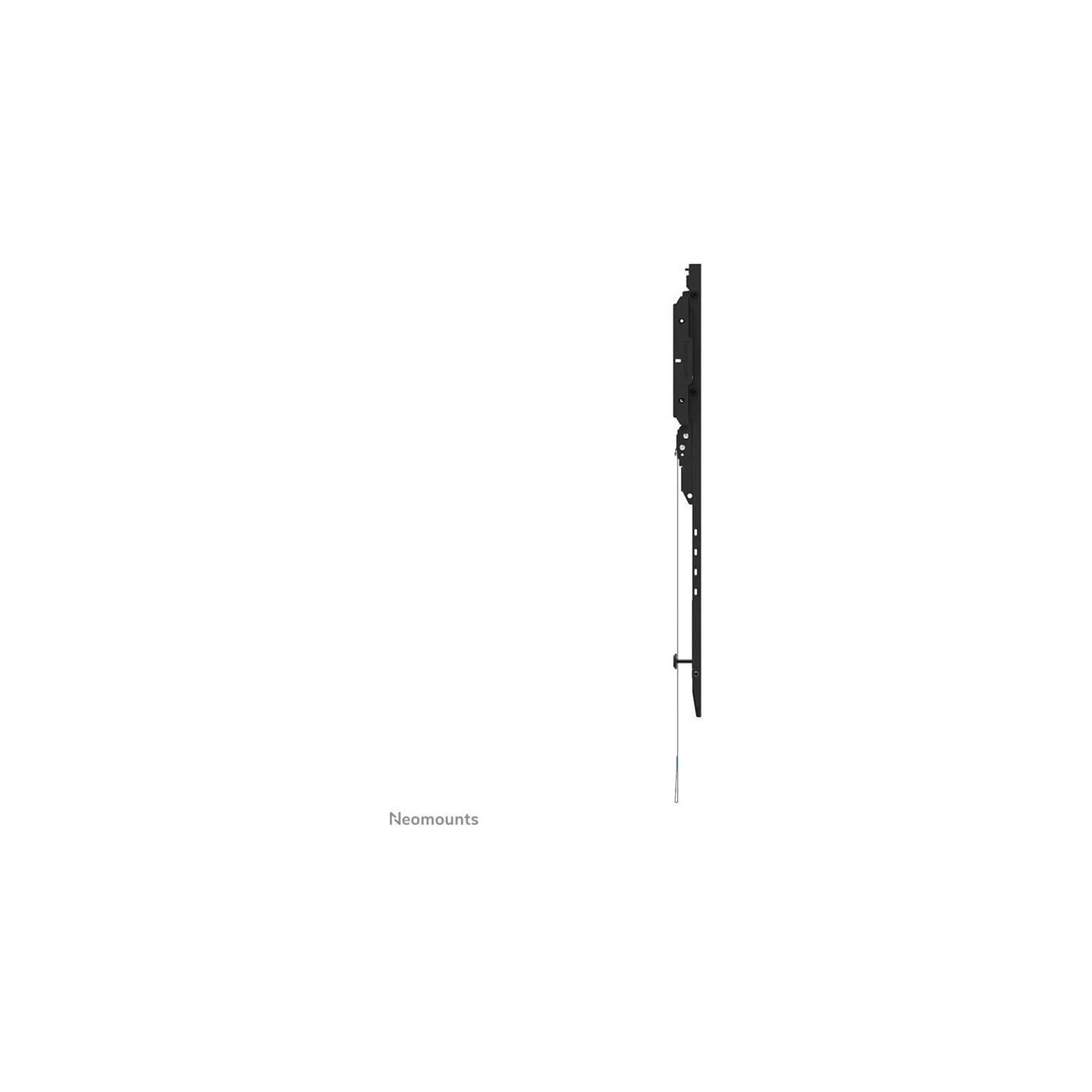 Neomounts Wall mount WL30-750BL18 LEVEL-750 XL, 125 kg