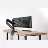 Digitus Monitor Mount DA-90427