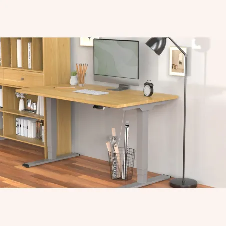 Digitus Floor stand | DA-90435  Electrical Table Frame | Height adjustment | Maximum weight (capacity) 100 kg | Grey