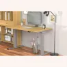 Digitus Floor stand | DA-90435  Electrical Table Frame | Height adjustment | Maximum weight (capacity) 100 kg | Grey