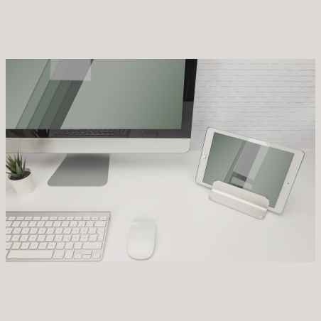 Digitus Desk Mount | DA-90439 | Maximum weight (capacity) 10 kg | Silver