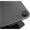 Goobay Floor stand | TV Floor Stand Basic, Size L | Swivel | 37-70 " | Maximum weight (capacity) 40 kg | Black
