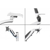 Digitus Wall mount | DA-90451 | Rotate, Swivel | 32 " | Maximum weight (capacity) 8 kg | White/Black