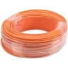 Digitus | Orange