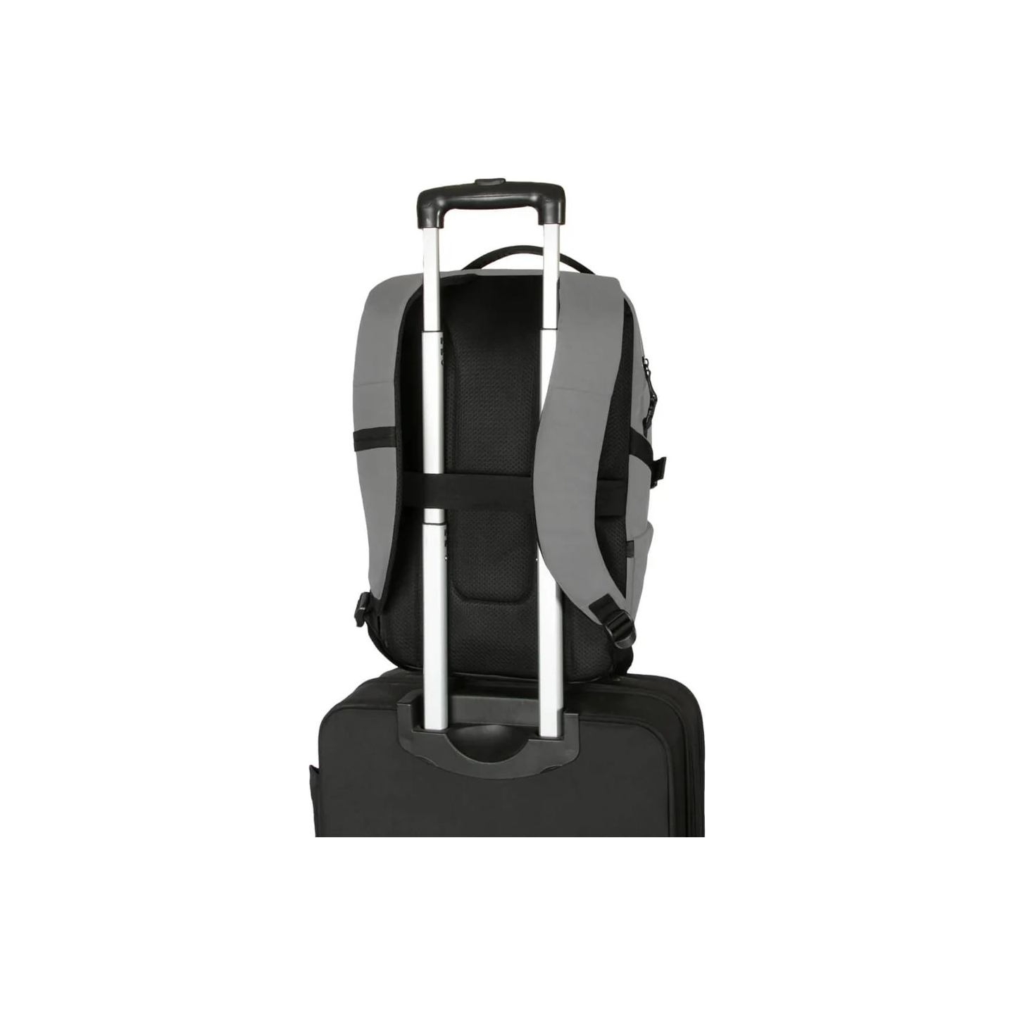 Targus 15-16" TERRA BACKPACK, HARMAA