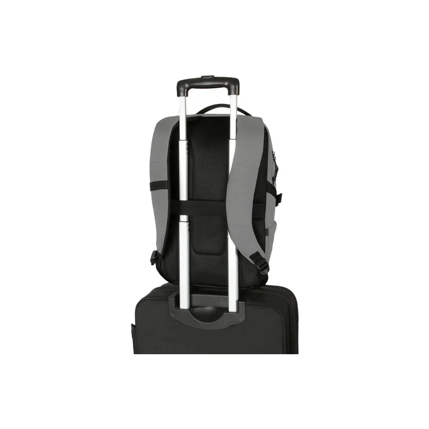Targus 15-16" TERRA BACKPACK, HARMAA