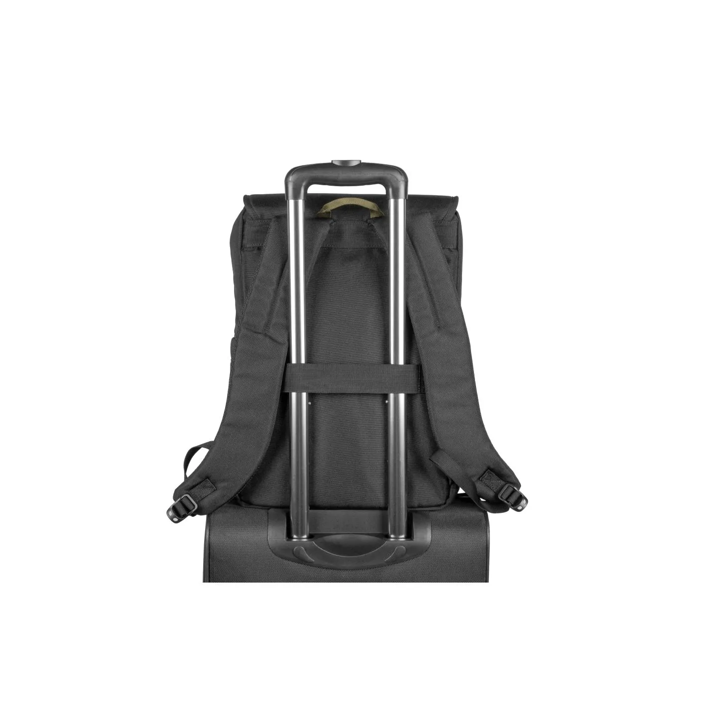 Natec | Niala | Fits up to size 15.6 " | Backpack | Green | Waterproof