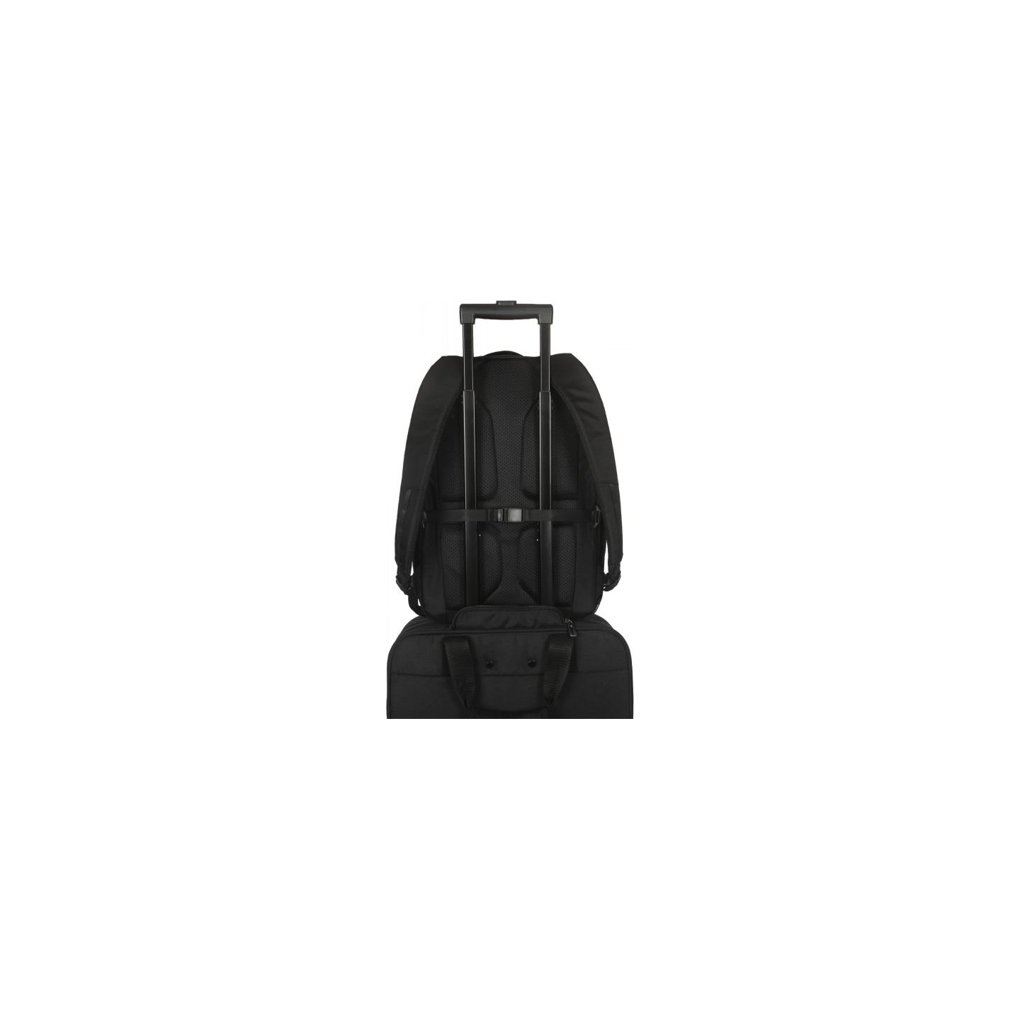 Targus ® WORK+™ 15-16" BACKPACK BLACK