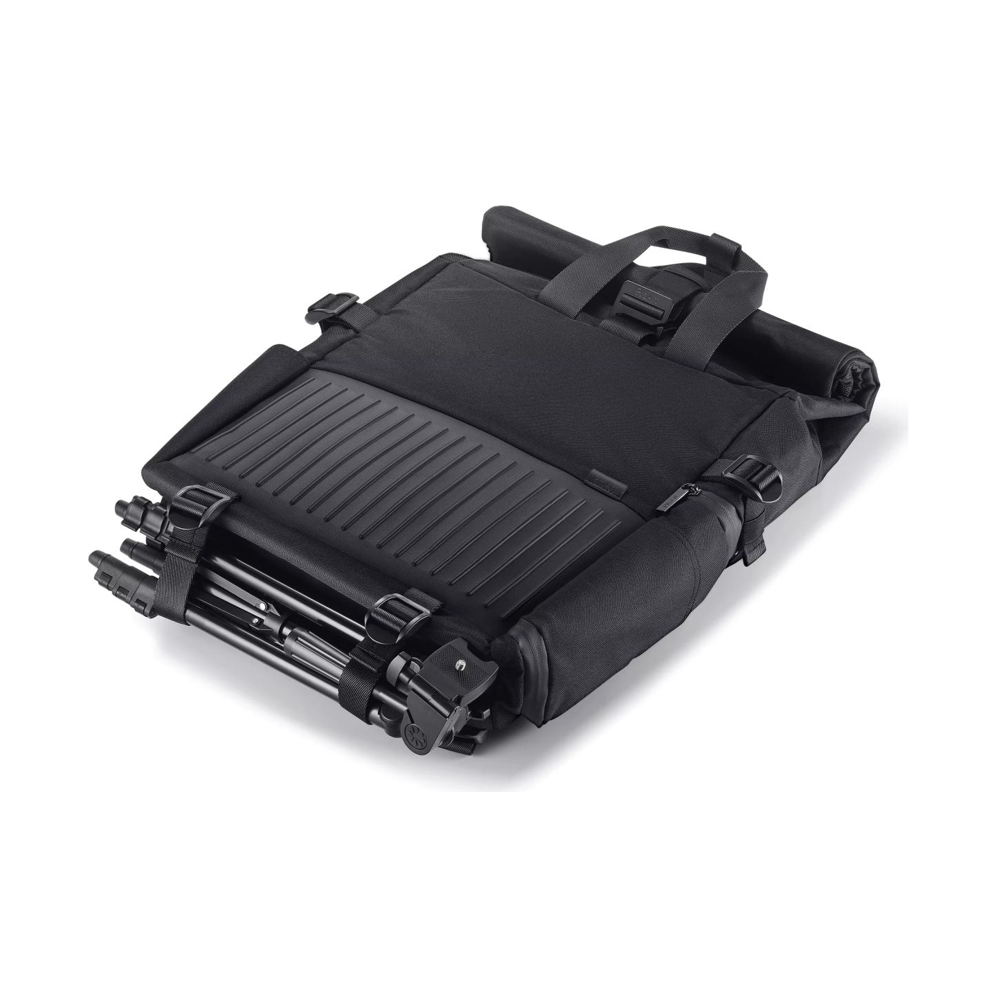 Asus PP4600 PROART | Fits up to size 16 " | Backpack | Black