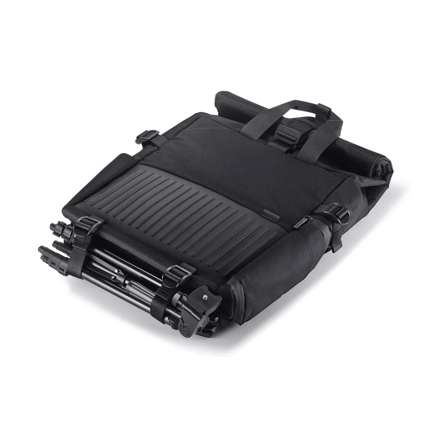 Asus PP4600 PROART | Fits up to size 16 " | Backpack | Black