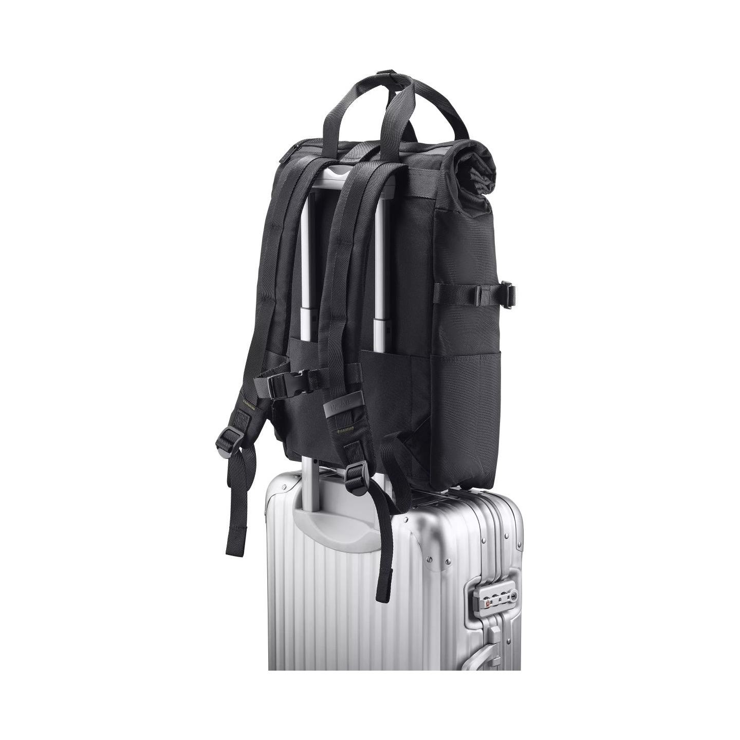 Asus PP4600 PROART | Fits up to size 16 " | Backpack | Black