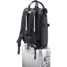 Asus PP4600 PROART | Fits up to size 16 " | Backpack | Black