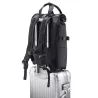 Asus PP4600 PROART | Fits up to size 16 " | Backpack | Black