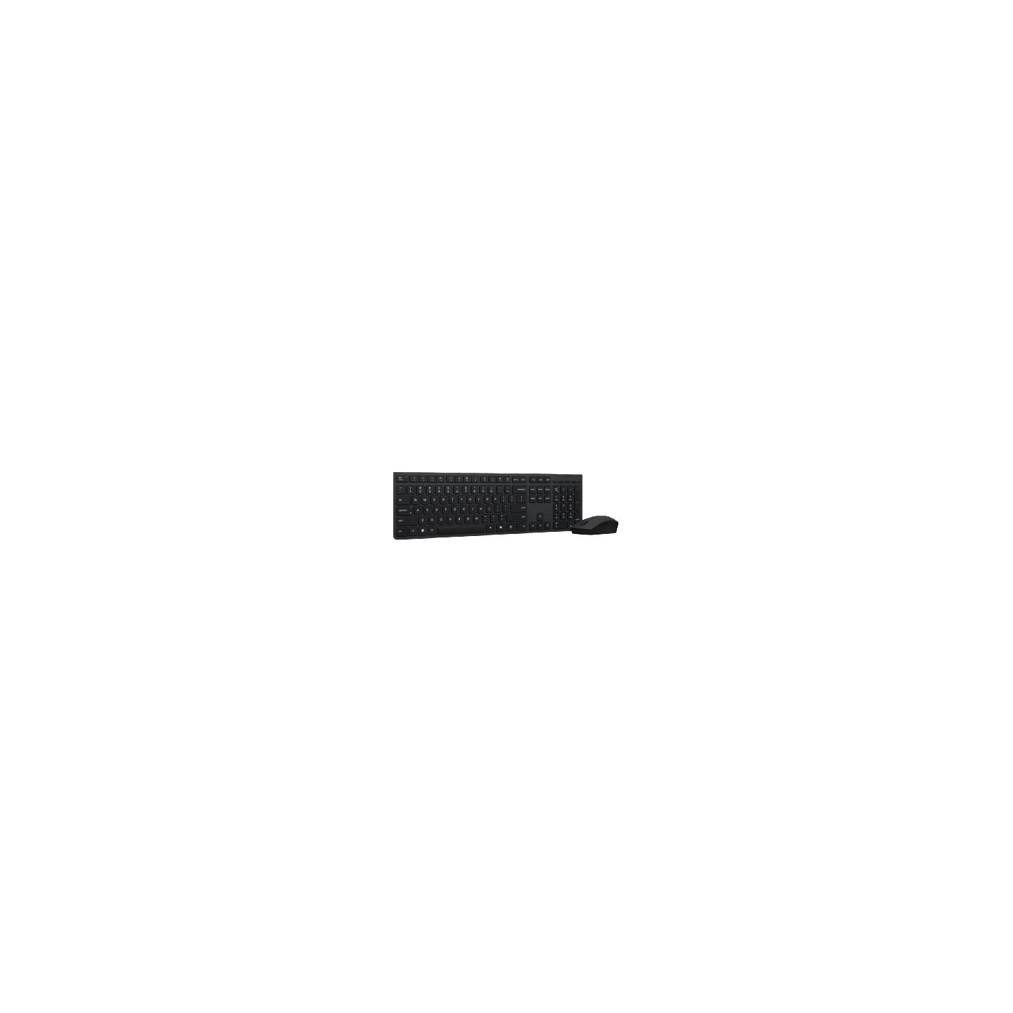 Lenovo Prof Wrlss Rech Kbd and Mouse