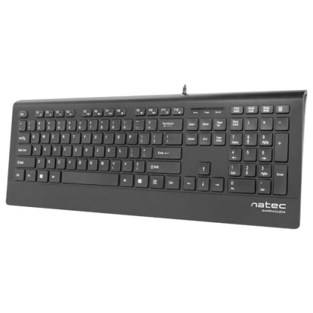 Natec Keyboard, Barracuda, US Layout, Slim | Natec | Keyboard | Barracuda | Standard | Wired | US | Black