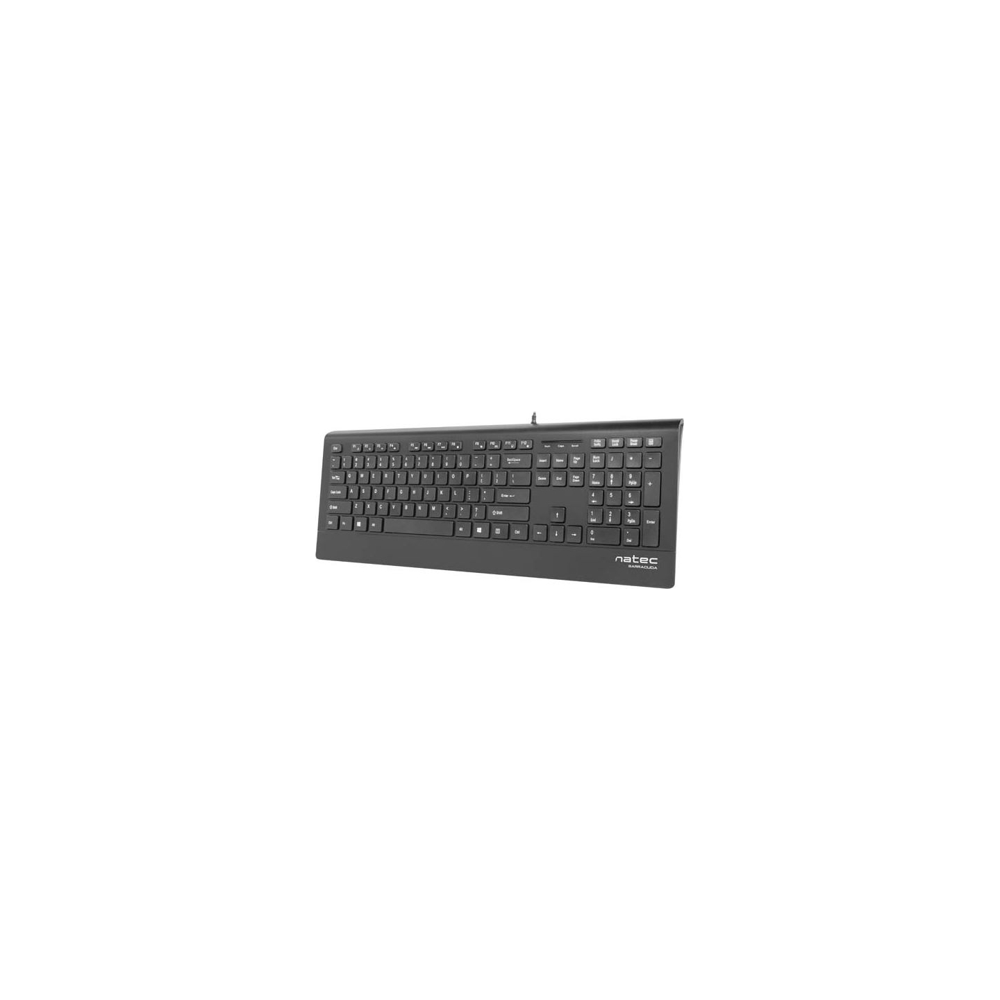 Natec Keyboard, Barracuda, US Layout, Slim | Natec | Keyboard | Barracuda | Standard | Wired | US | Black