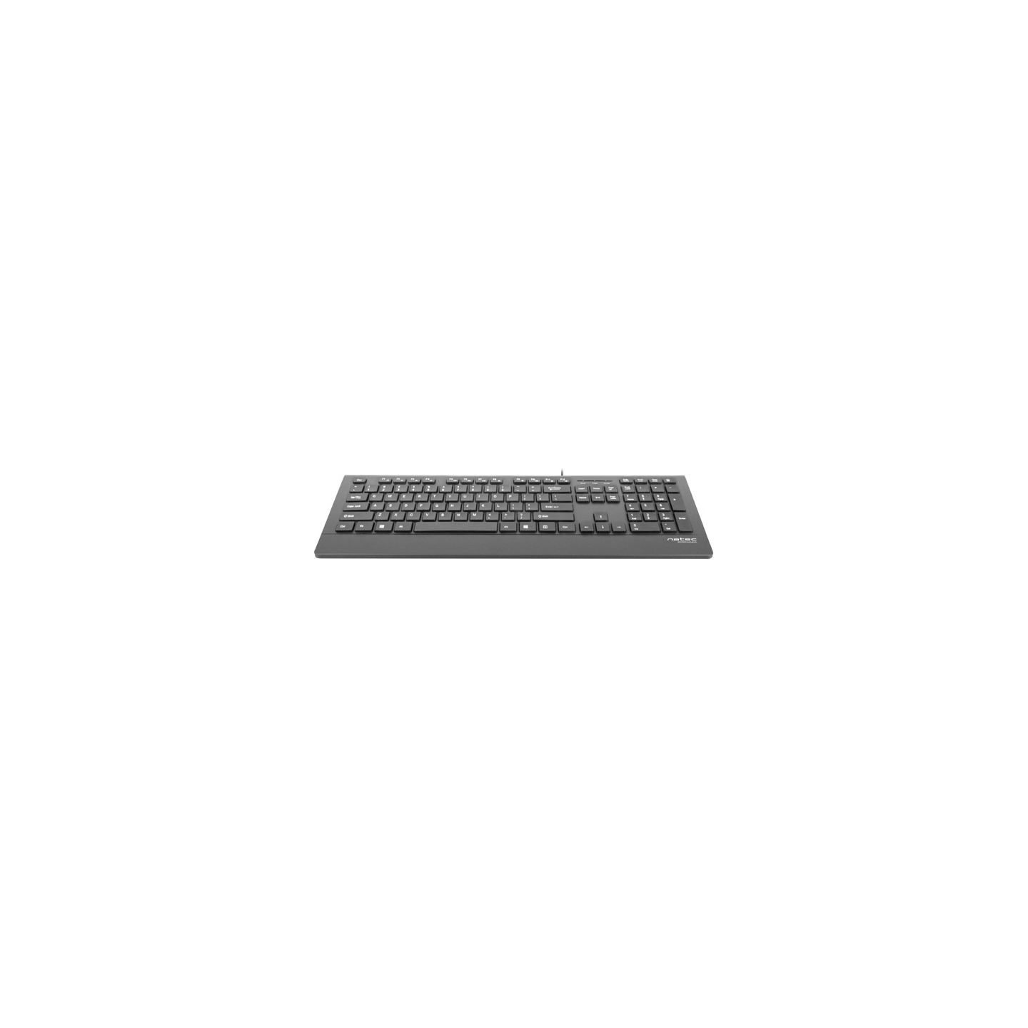Natec Keyboard, Barracuda, US Layout, Slim | Natec | Keyboard | Barracuda | Standard | Wired | US | Black