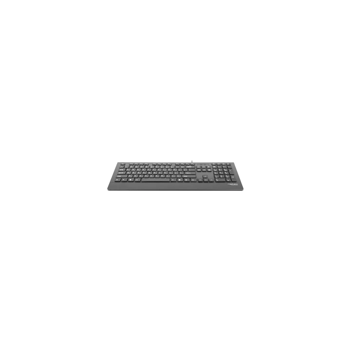 Natec Keyboard, Barracuda, US Layout, Slim | Natec | Keyboard | Barracuda | Standard | Wired | US | Black