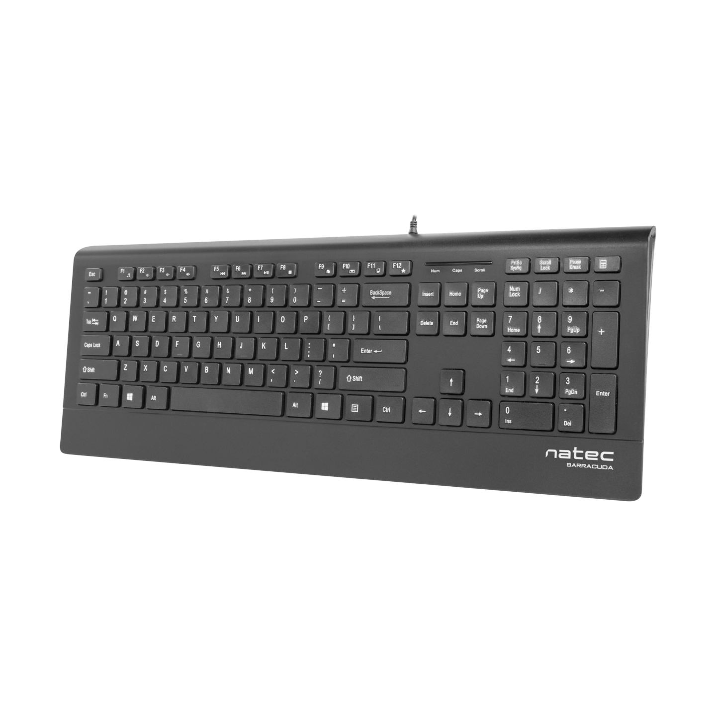Natec Keyboard, Barracuda, US Layout, Slim | Natec | Keyboard | Barracuda | Standard | Wired | US | Black