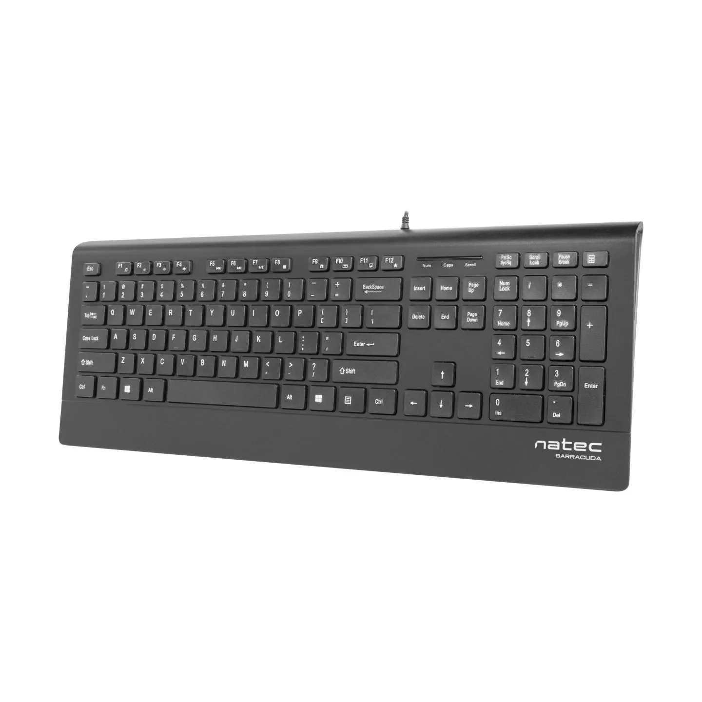 Natec Keyboard, Barracuda, US Layout, Slim | Natec | Keyboard | Barracuda | Standard | Wired | US | Black
