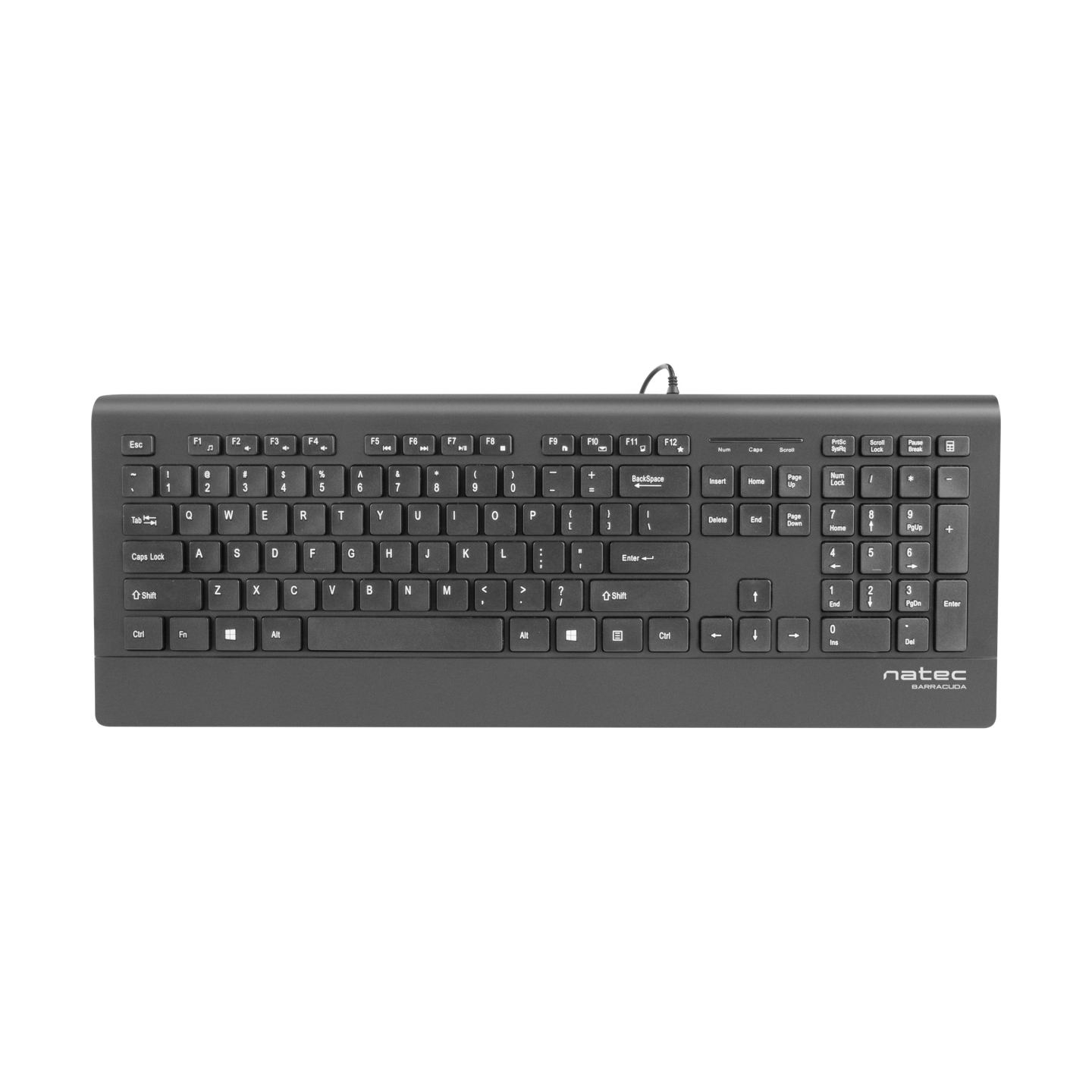 Natec Keyboard, Barracuda, US Layout, Slim | Natec | Keyboard | Barracuda | Standard | Wired | US | Black