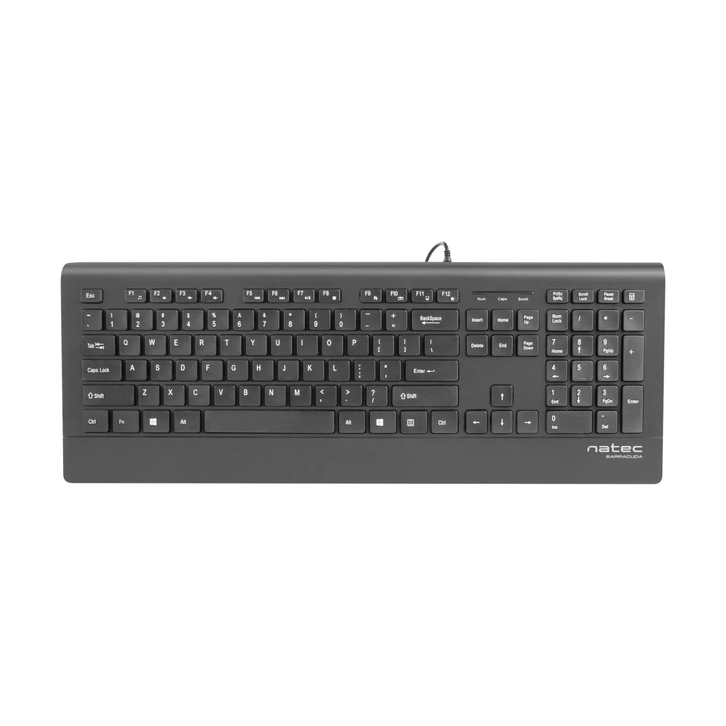 Natec Keyboard, Barracuda, US Layout, Slim | Natec | Keyboard | Barracuda | Standard | Wired | US | Black