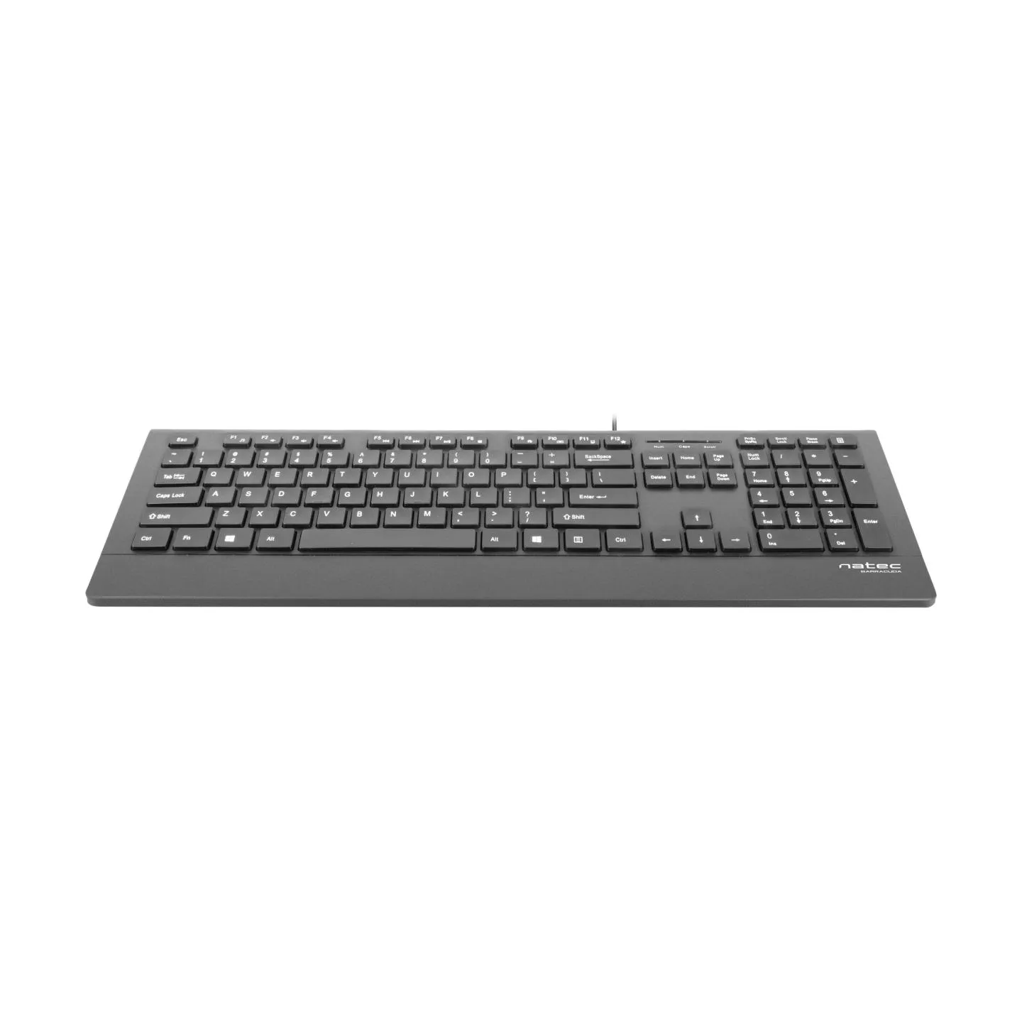 Natec Keyboard, Barracuda, US Layout, Slim | Natec | Keyboard | Barracuda | Standard | Wired | US | Black