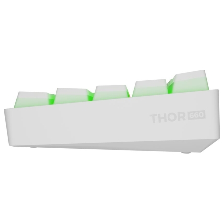 Genesis | THOR 660 G2 | Gaming Keyboard | Wireless/Wired | US | Linear | White | RGB