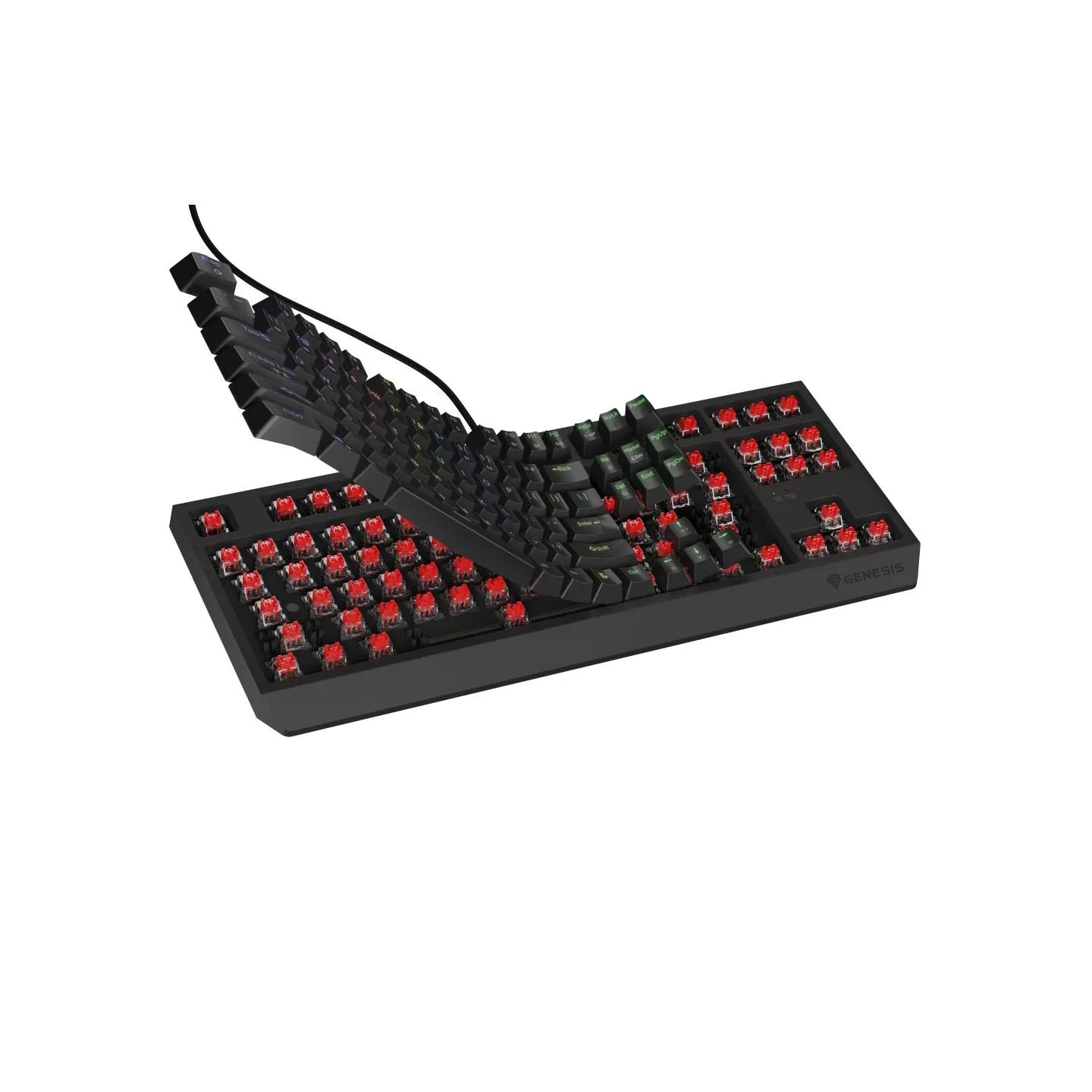 Genesis | THOR 230 TKL | Mechanical Gaming Keyboard | Wired | US | Linear | Black | RGB