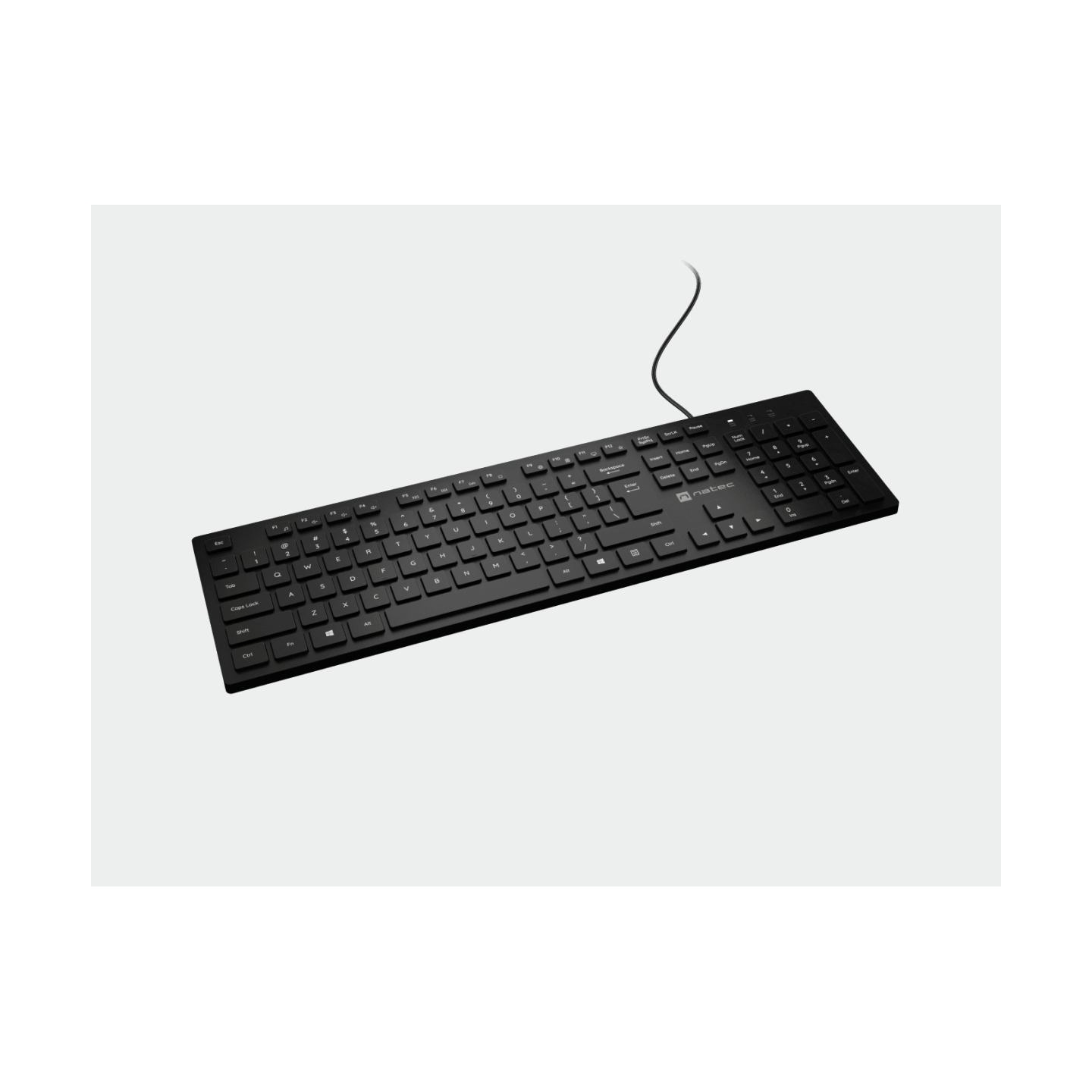 Natec | Herring | Keyboard | Wired | US | Black