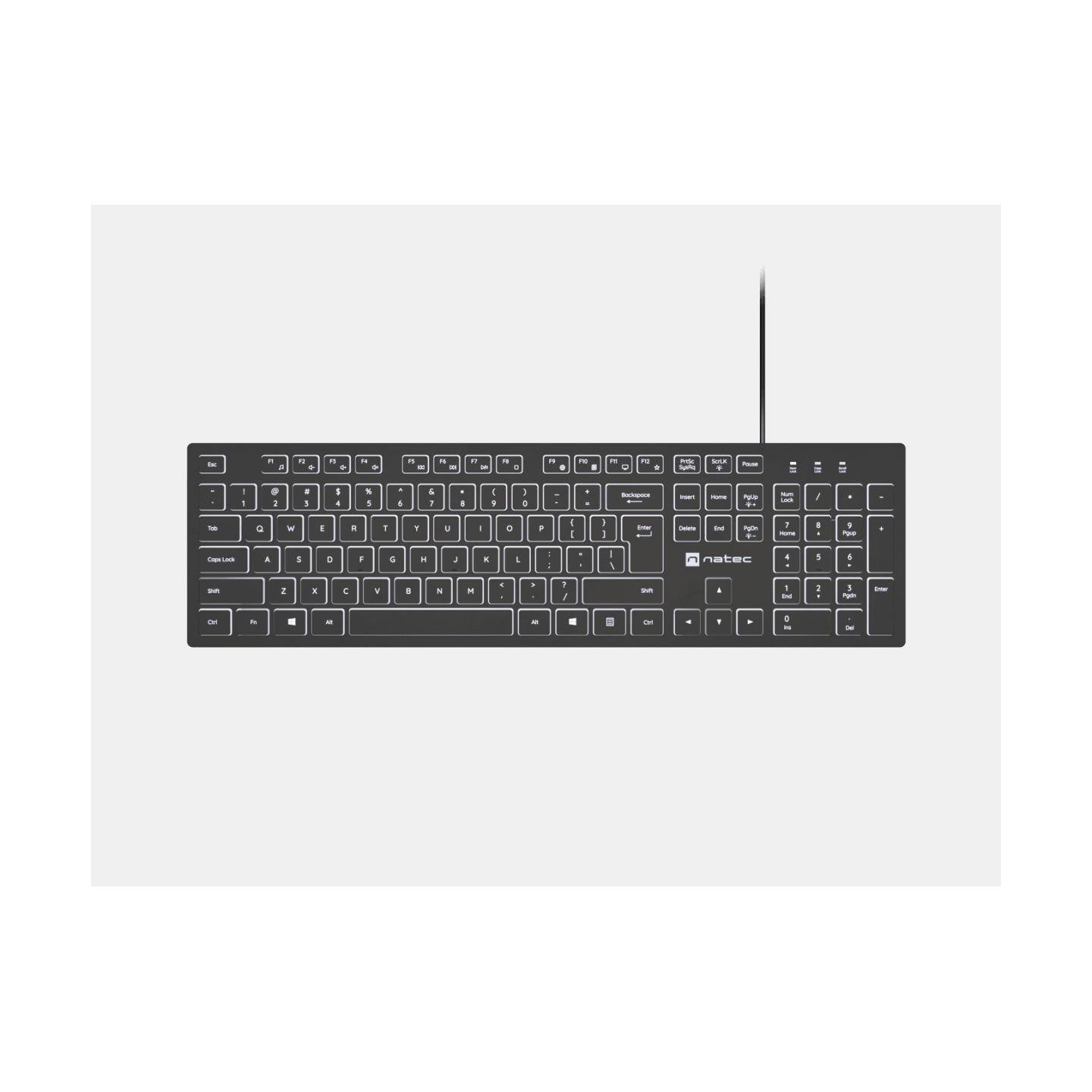 Natec | Herring Glow | Keyboard | Wired | US | Black