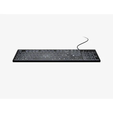 Natec | Herring Glow | Keyboard | Wired | US | Black