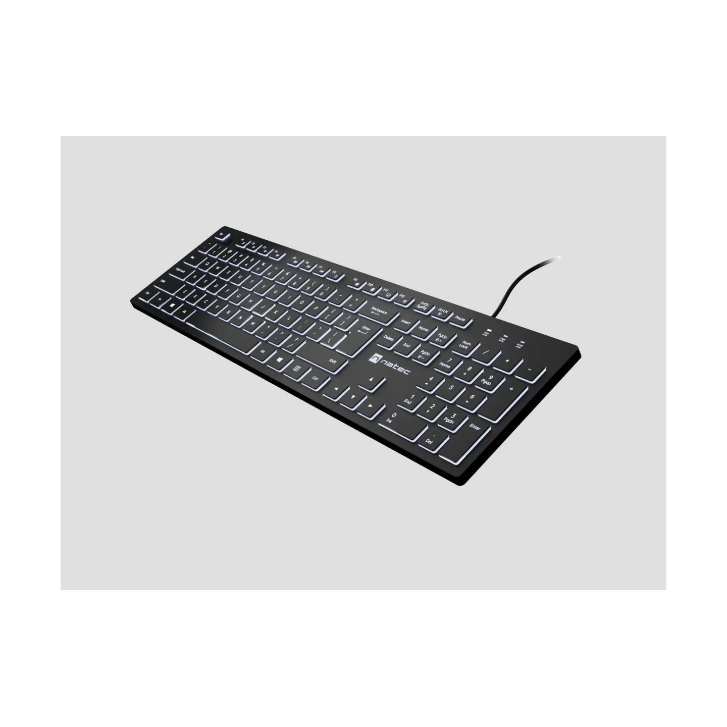 Natec | Herring Glow | Keyboard | Wired | US | Black