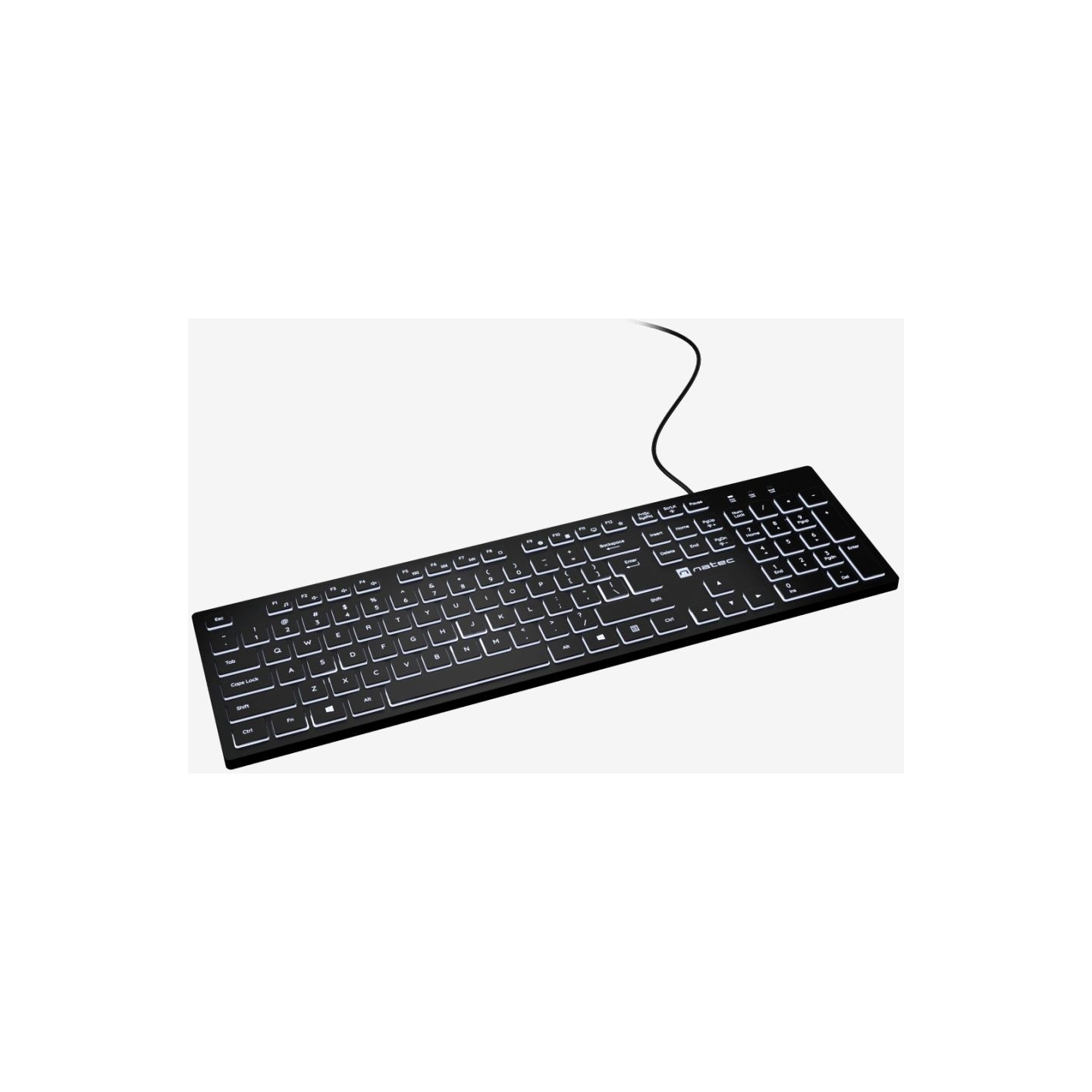 Natec | Herring Glow | Keyboard | Wired | US | Black