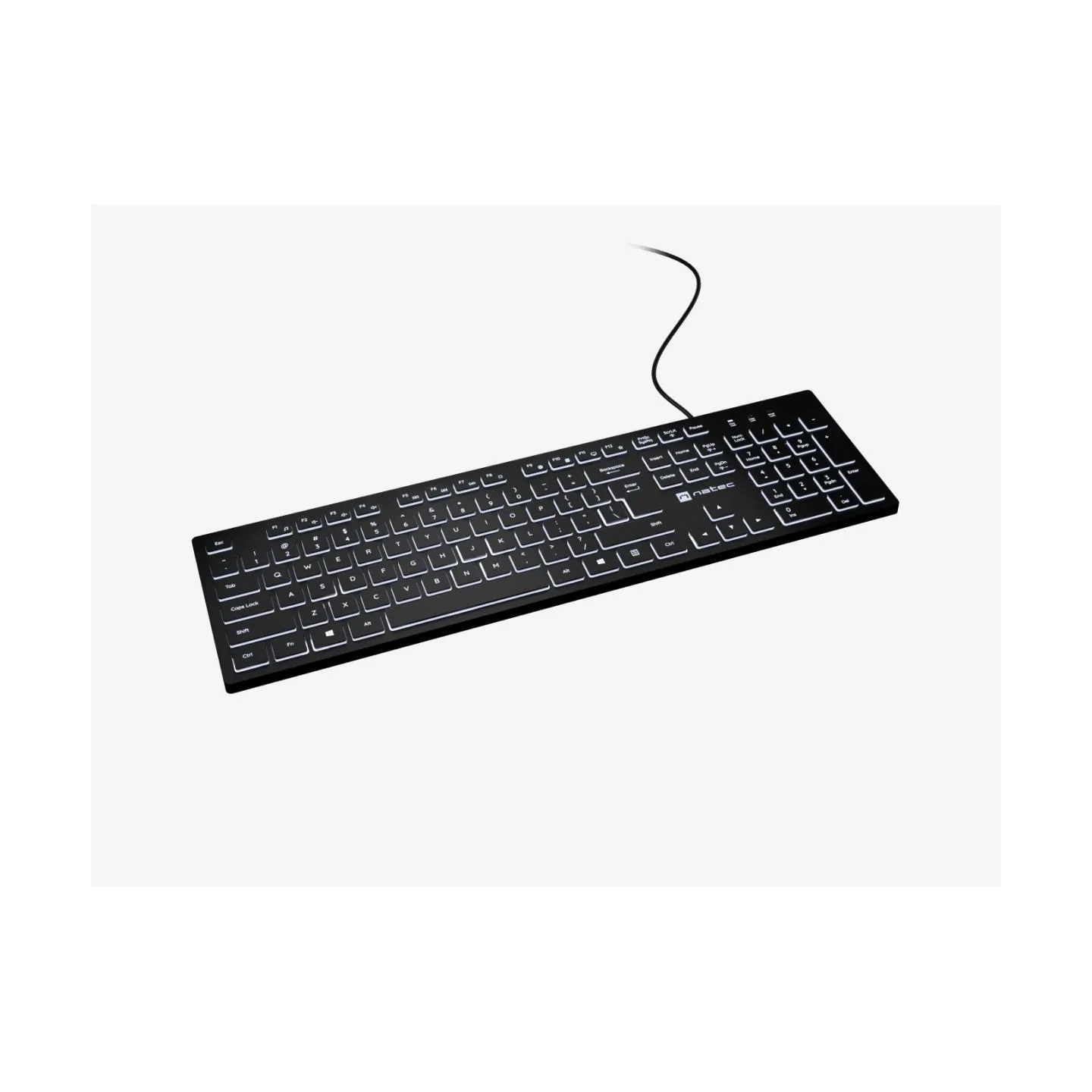 Natec | Herring Glow | Keyboard | Wired | US | Black