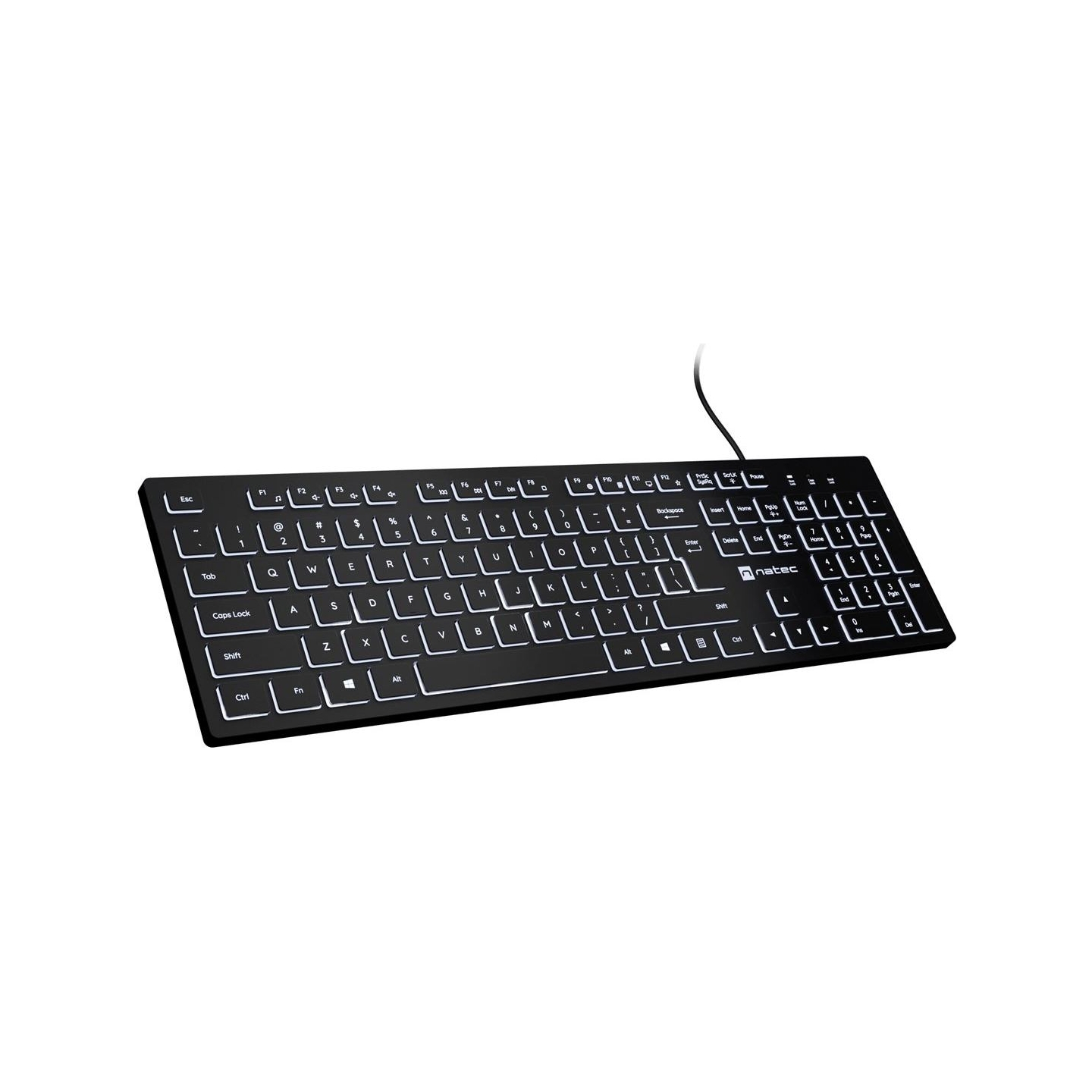 Natec | Herring Glow | Keyboard | Wired | US | Black