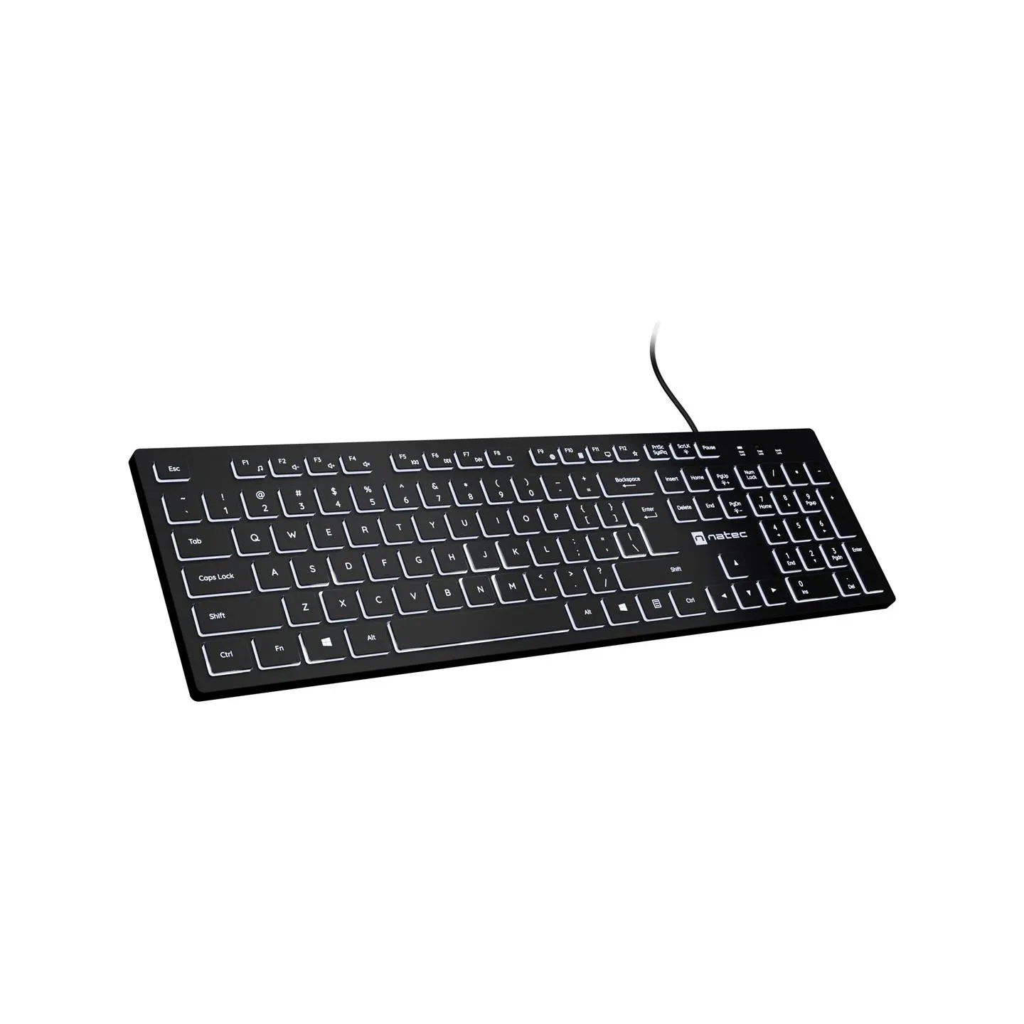 Natec | Herring Glow | Keyboard | Wired | US | Black