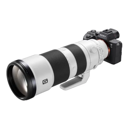 Sony | FE 200-600mm F5.6-6.3 | Sony E-mount