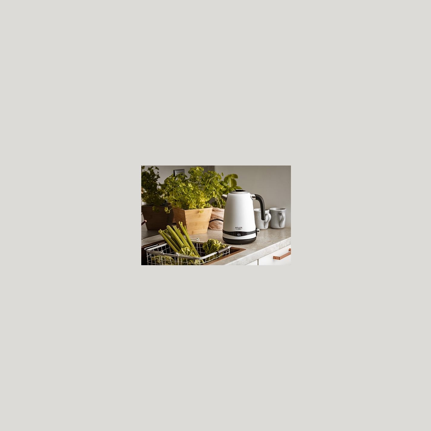 Adler | Kettle | AD 1295w | Electric | 2200 W | 1.7 L | Stainless steel | 360° rotational base | White