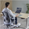 Fellowes Alumia Portable Laptop Stand | 15 " | Laptop Stand | Silver