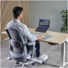 Fellowes Alumia Portable Laptop Stand | 15 " | Laptop Stand | Black