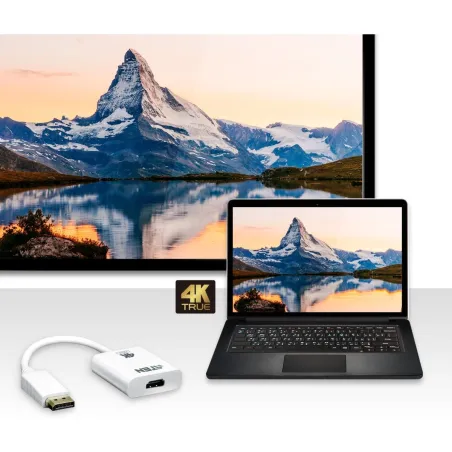 Aten | True 4K DisplayPort to HDMI 2.0 Active Adapter | VC986B | DP to HDMI