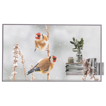 LG | Digital Signage | 55EW5P | 55 " | Landscape/Portrait | 18/7 | webOS | Transparent | 600 cd/m² | 8 ms | 178 ° | 178 °