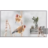 LG | Digital Signage | 55EW5P | 55 " | Landscape/Portrait | 18/7 | webOS | Transparent | 600 cd/m² | 8 ms | 178 ° | 178 °
