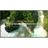 LG UHD Signage | 65UL3Q-E | 65 " | 350 cd/m² | Landscape/Portrait | 16/7 | webOS | 8 ms | 178 ° | 178 °