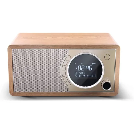 Sharp Radio DAB+ BT DR-450(BR)