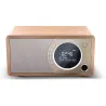 Sharp Radio DAB+ BT DR-450(BR)