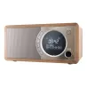 Sharp Radio DAB+ BT DR-450(BR)
